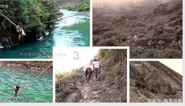 赵丽颖《第二十条》拍摄现场流露母爱,专业与暖心并存